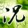 西西里的美丽传说